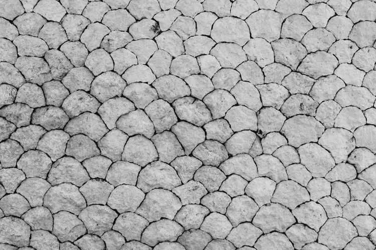 Understanding Scale to Pick and Don't Scale in Cetec ERP